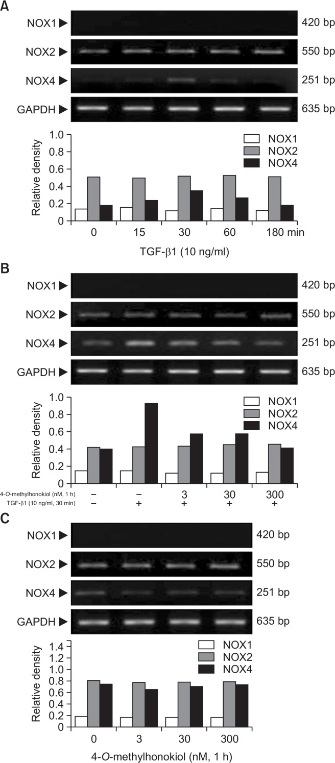 Fig. 9.