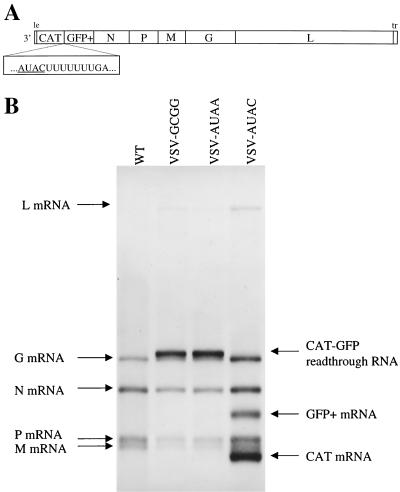 FIG. 7