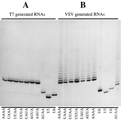 FIG. 6