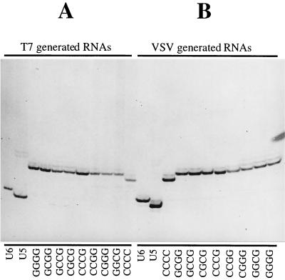 FIG. 5