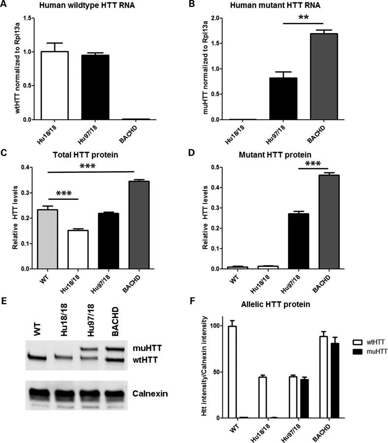 Figure 1.