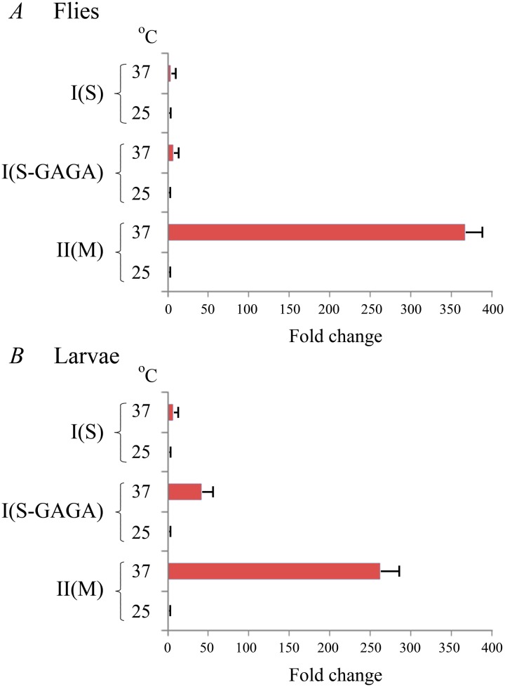 Fig 5