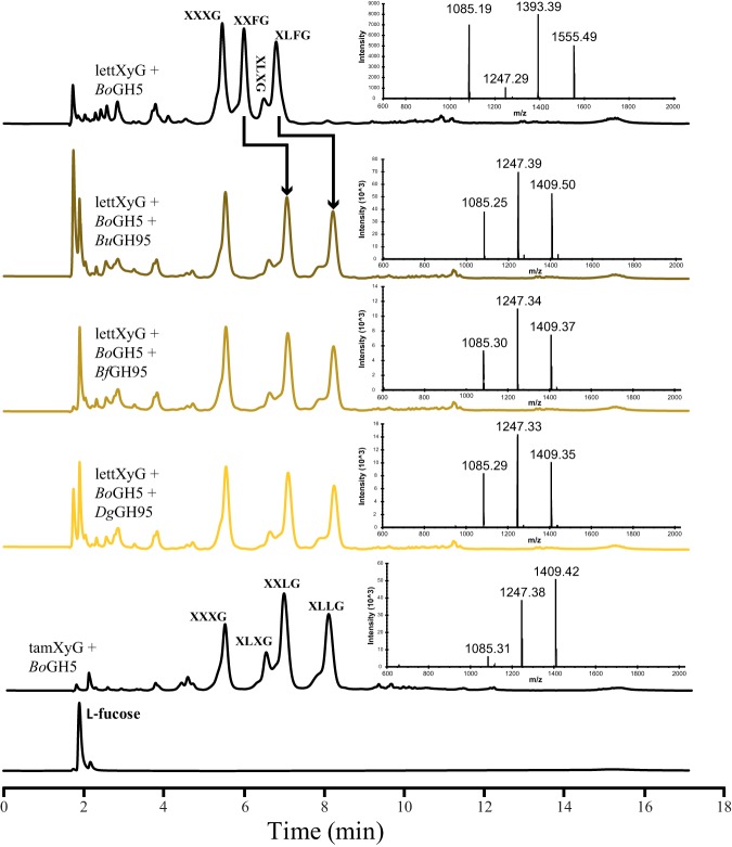 FIG 4