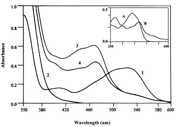 FIG. 5