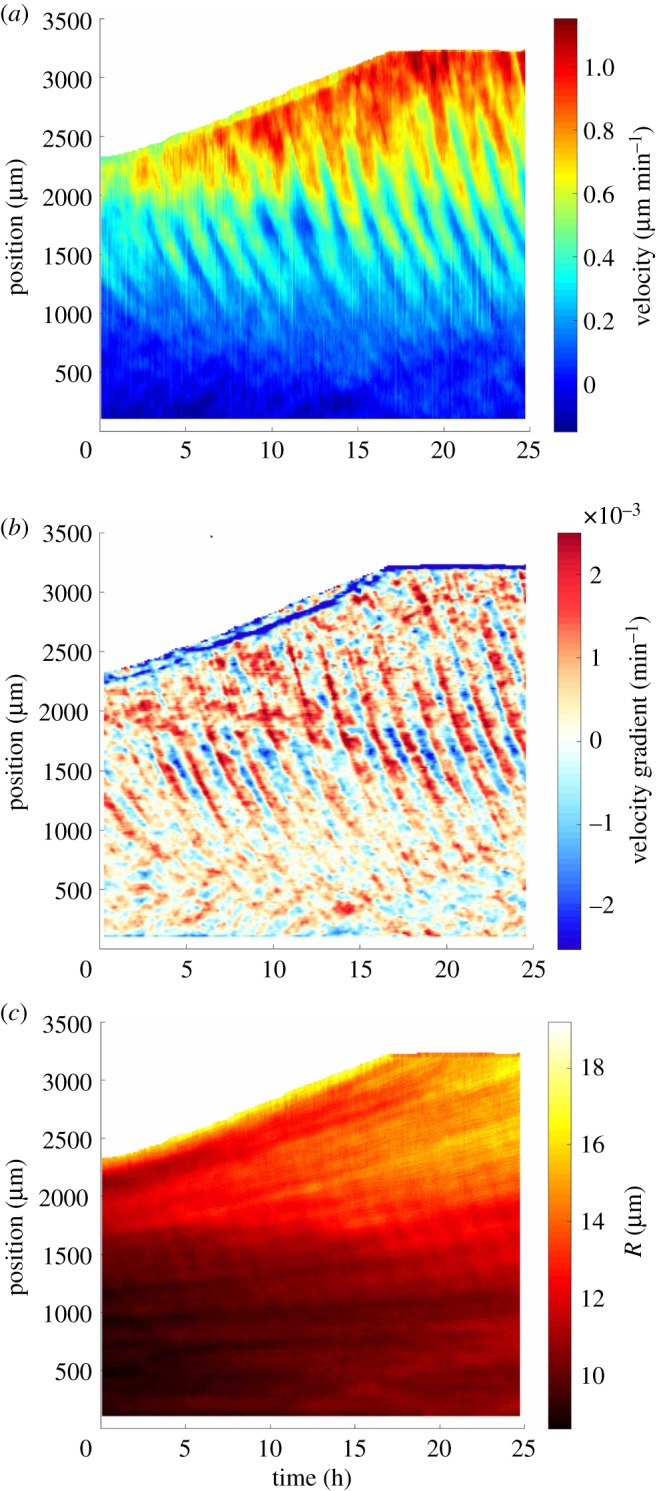 Figure 3.