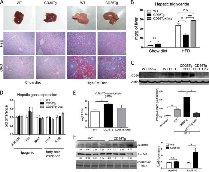 FIG 3