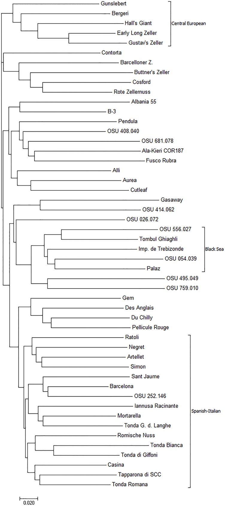 Fig 1