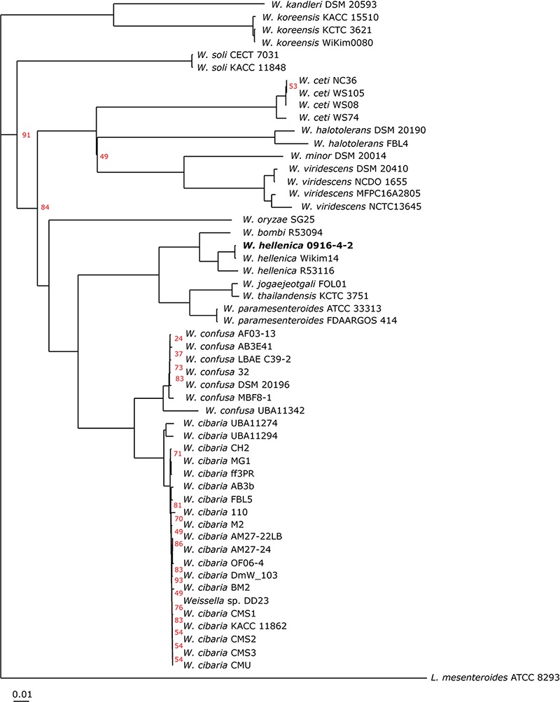 FIGURE 3