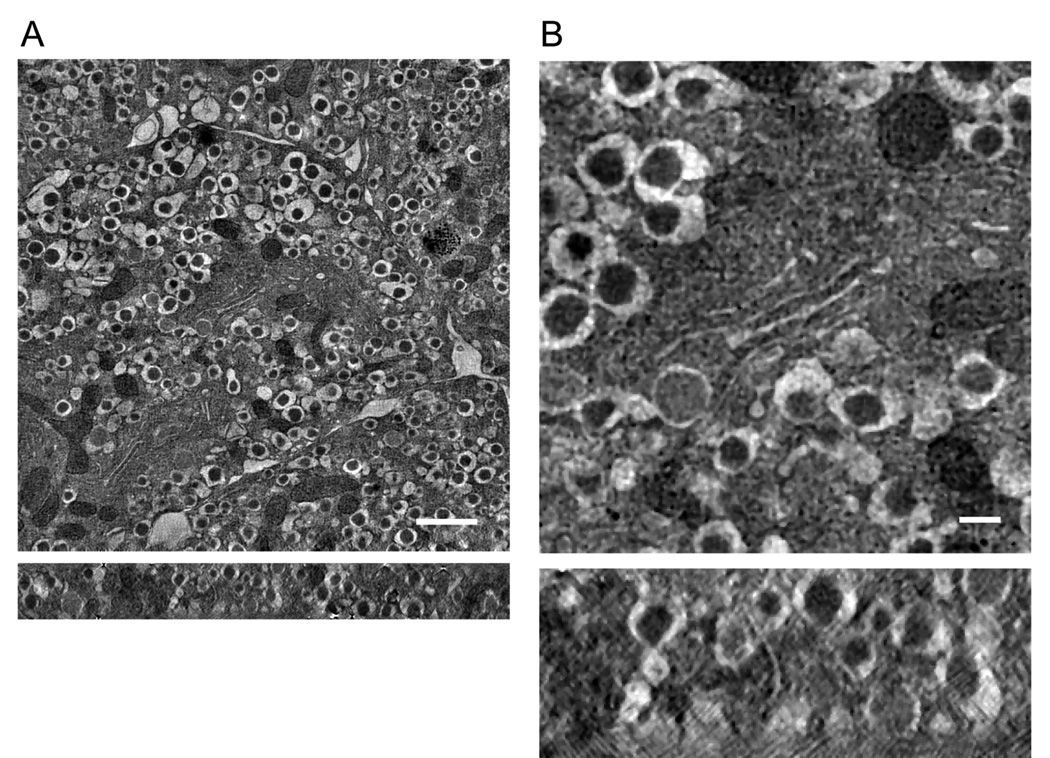 Fig. 6