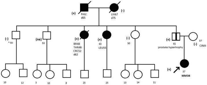 Fig 1