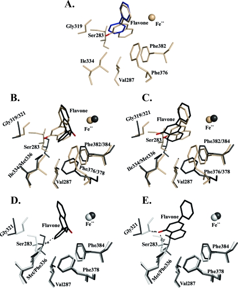 Fig 5