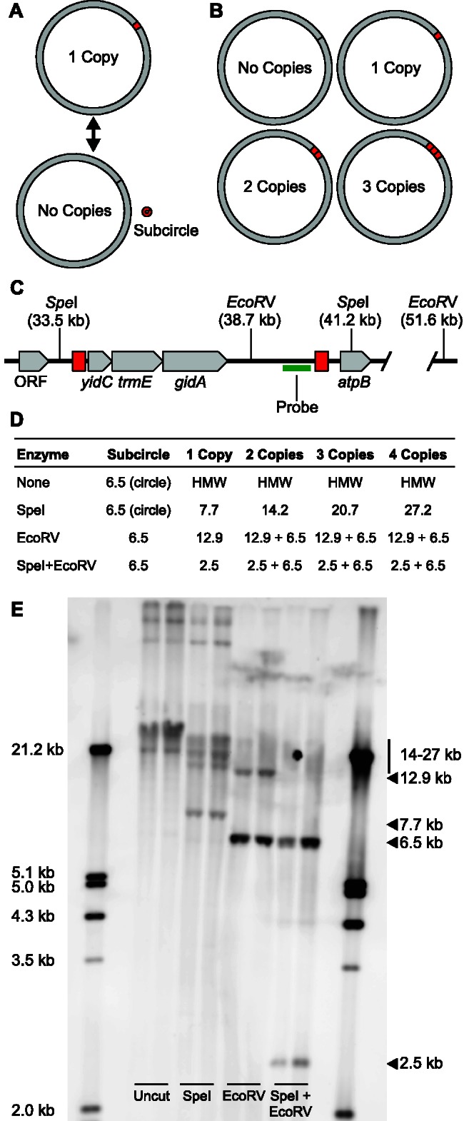 Fig. 2.—