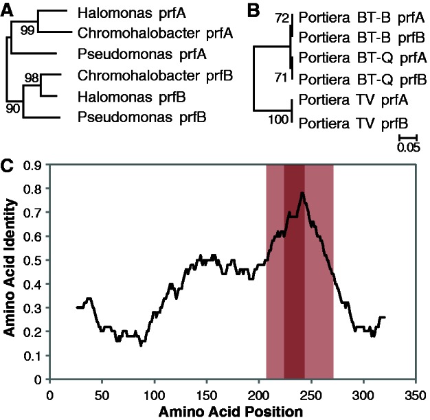 Fig. 3.—