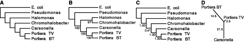 Fig. 5.—