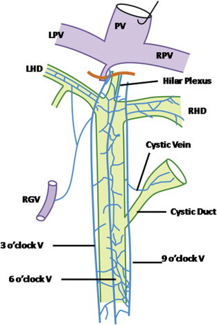 Figure 9