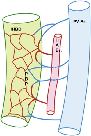 Figure 6