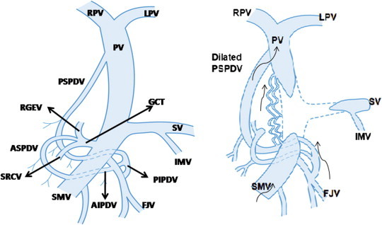 Figure 10