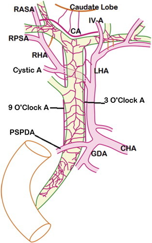 Figure 2