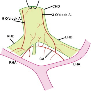 Figure 5