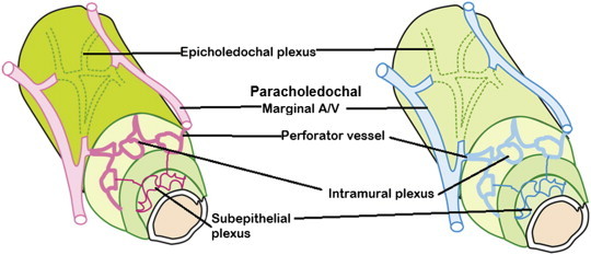 Figure 7