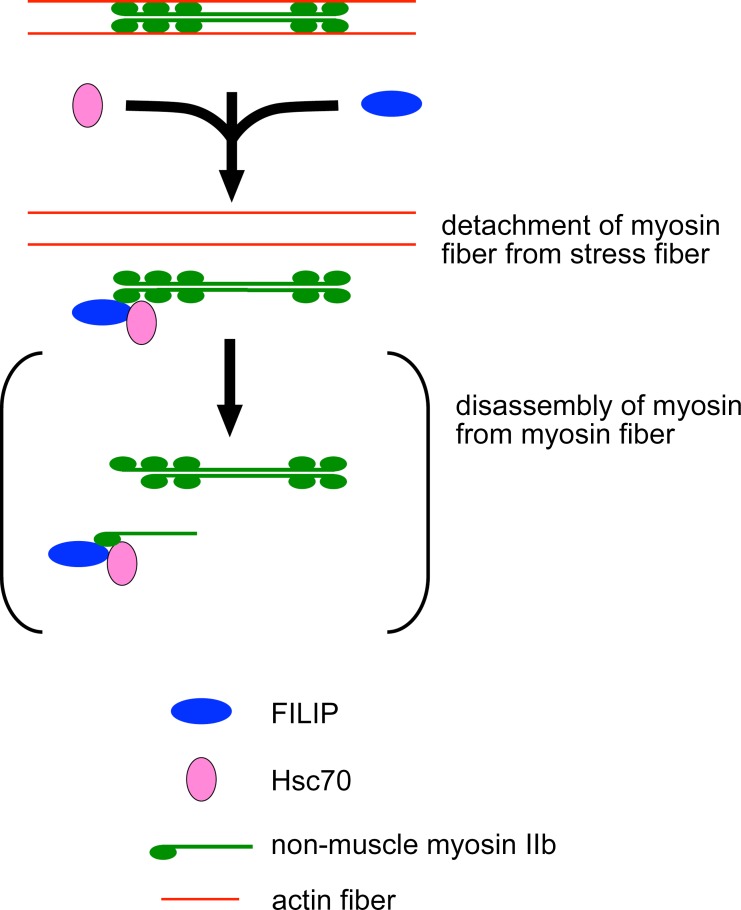 Fig 8