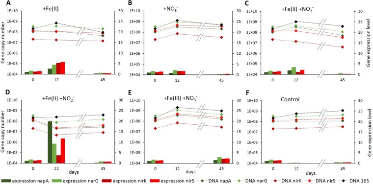 FIG 6