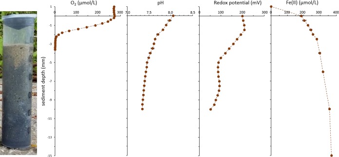 FIG 1