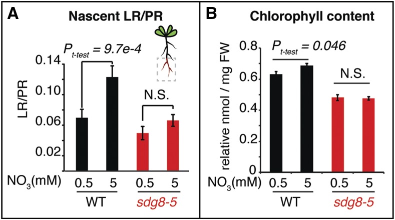 Figure 6.