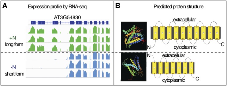 Figure 4.