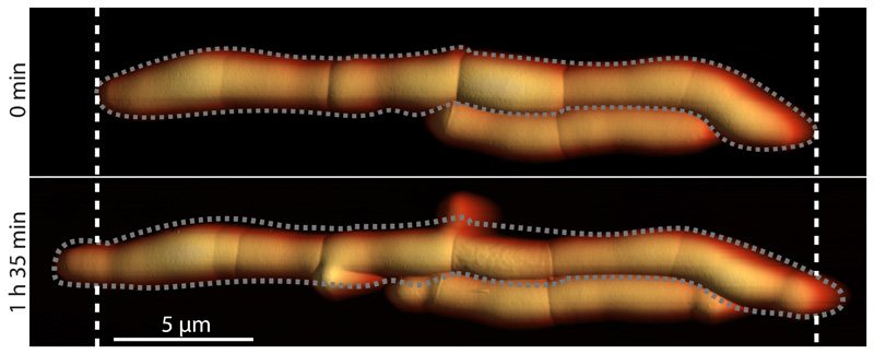 Extended Data Figure S14