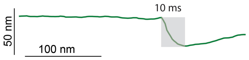 Extended Data Figure S2