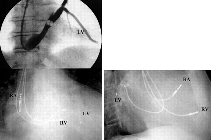 Figure 3  