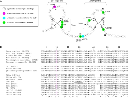 Figure  2. 