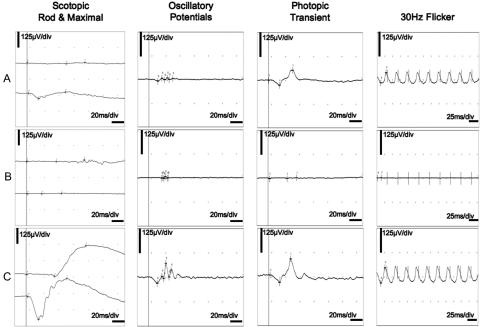 Figure  4. 