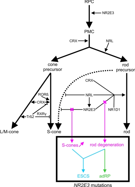 Figure  6. 