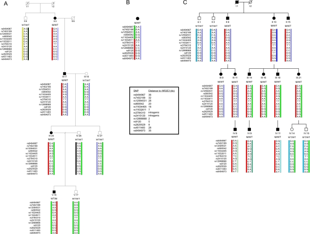 Figure  3. 