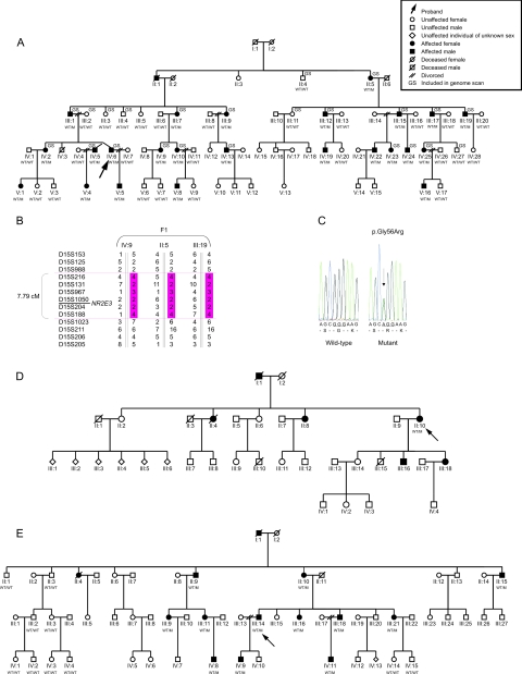 Figure  1. 