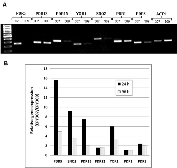 Figure 4