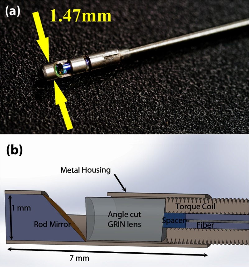 Fig. 2