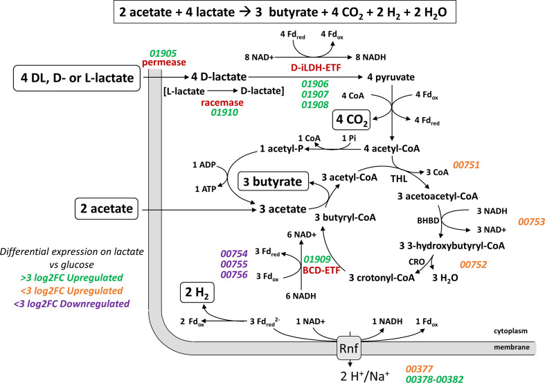 Fig. 8.