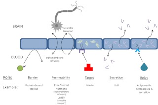 Fig. 1.