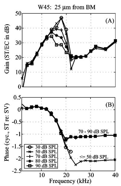 FIG. 5
