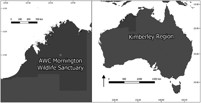 Fig. 1