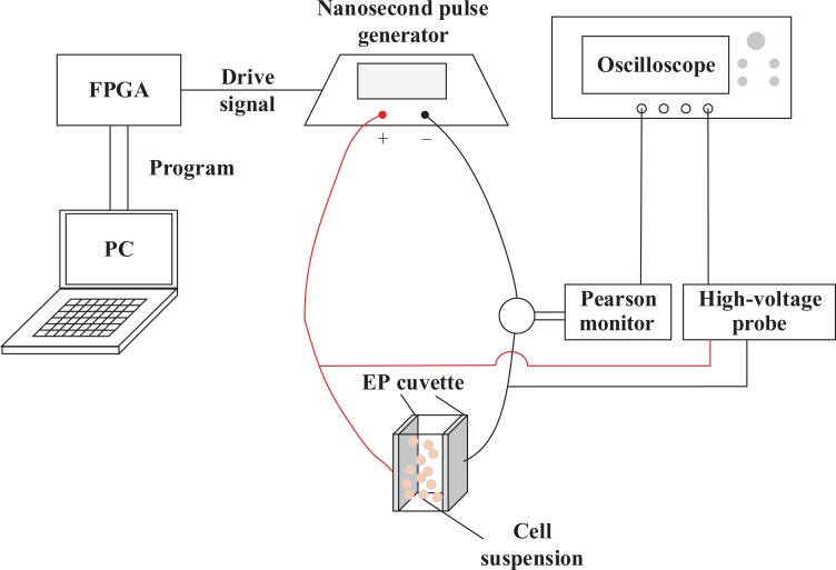 Figure 2.