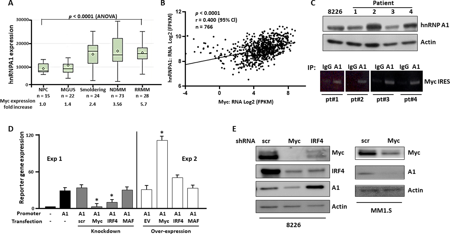 Figure 1: