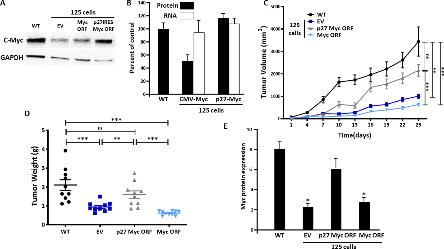 Figure 6: