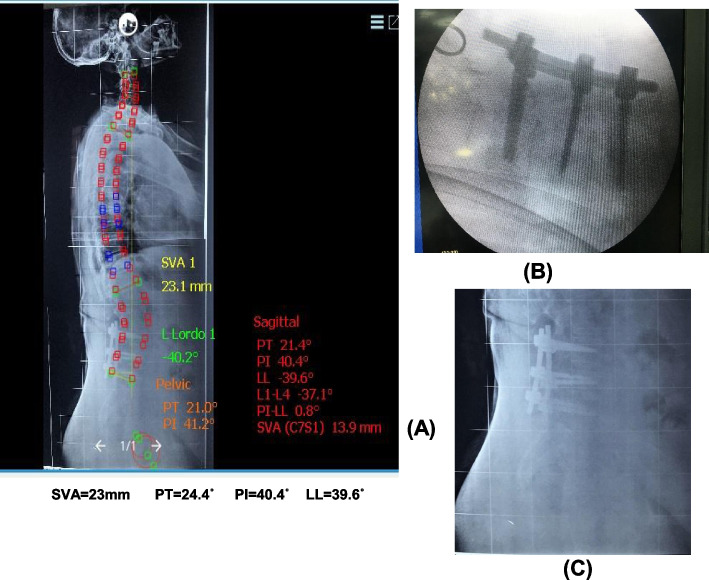 Fig. 8