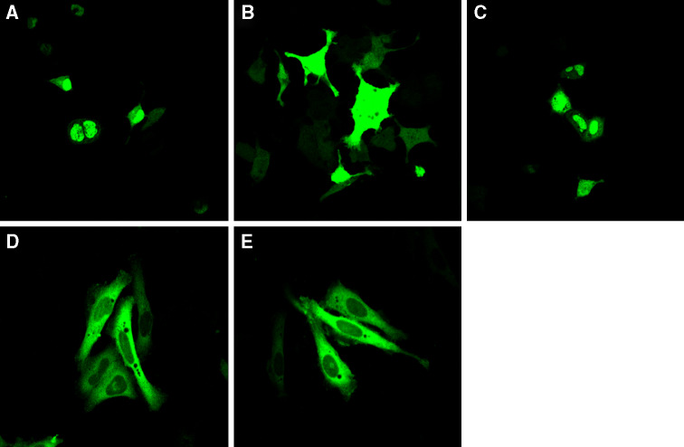 Fig. 2