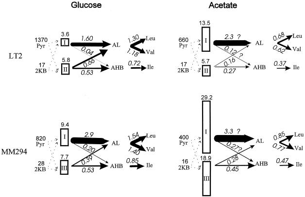 FIG. 3