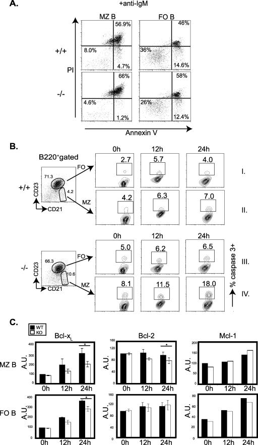 FIG. 5.